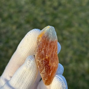May include: A rough, orange and white crystal with a pointed tip. The crystal is being held in a white glove.