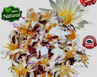 Organic Egyptian White Lotus Flowers: Meditation Tea
