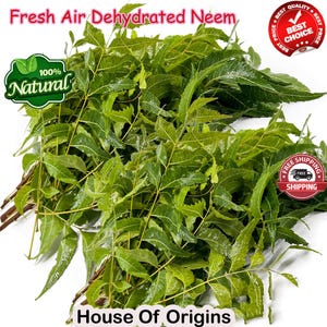 Organic Neem Leaves: Air Dried Azadirachta Indica, Bulk Herbs