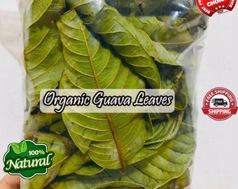 Folhas de Goiaba Secas Orgânicas - 1 KG a Granel