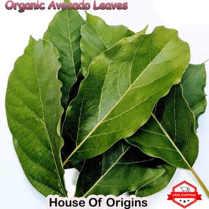 Könnte beinhalten: Ein Bund Bio-Avocado-Blätter, grün und frisch, mit dem Text "House of Origins" am unteren Rand des Bildes.