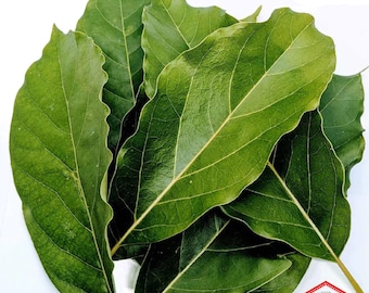 Organic Avocado Leaf: Air Dried Herbal Tea, Ayurveda Spice