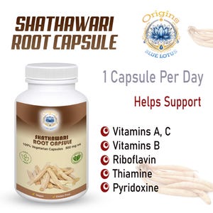 Organic Shatavari Root Capsules – Asparagus Racemosus Herbal Supplement – Vegan Powder image 2