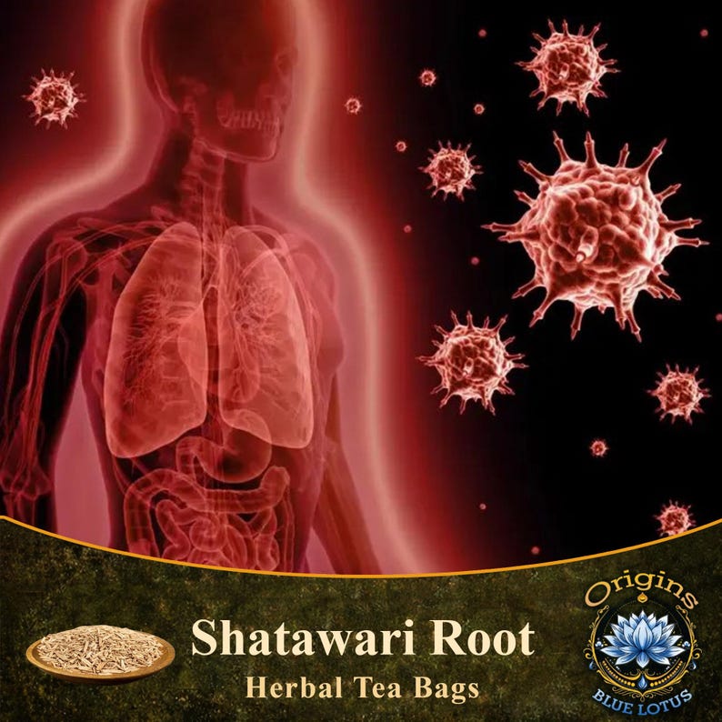 May include: A graphic illustration featuring a red, translucent human silhouette highlighting the lungs and internal organs, surrounded by floating red virus-like particles. Below, a bowl of dried herbs is labeled Shatawari Root Herbal Tea Bags.