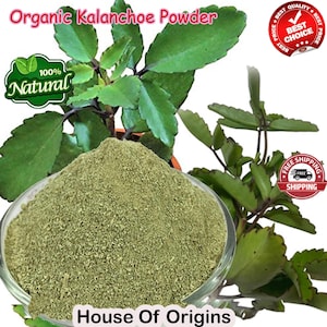 Kalanchoe Pinnata Powder: Leaf of Life Tea, Jamaican Miracle Leaf (5 KG)