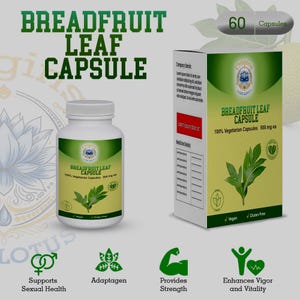 May include: A white bottle and a green and white box of Breadfruit Leaf Capsule supplements. The bottle and box feature the text "Breadfruit Leaf Capsule" and a leaf illustration. The box also indicates 60 capsules, and the product is vegan and gluten-free.