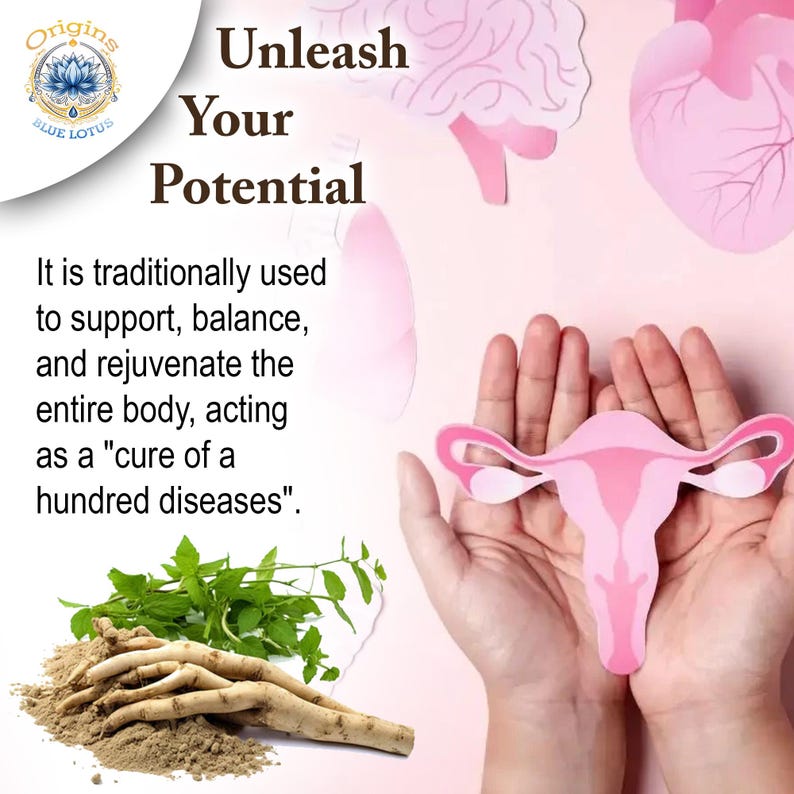 Organic Shatavari Root Capsules – Asparagus Racemosus Herbal Supplement – Vegan Powder image 7