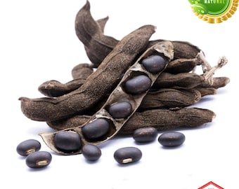 Semilla de Mucuna Pruriens orgánica: frijol terciopelo silvestre (1 kg a granel)