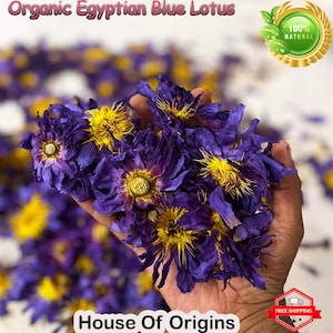 Op de afbeelding: Een hand die een bos gedroogde blauwe lotusbloemen vasthoudt. De bloemen zijn diepblauw met gele centra. De bloemen zijn gelabeld met "Organic Egyptian Blue Lotus" en "100% Natural". De tekst "House of Origins" staat onderaan de afbeelding.