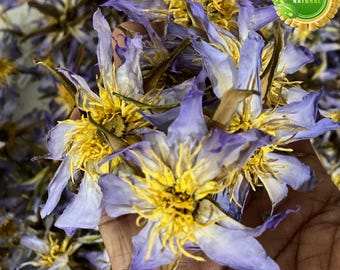 Flores de Loto Azul Orgánicas / Nymphaea Caerulea / Hierba de Té Egipcia Seca
