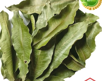 5KG Bulk Organic Mango Leaves: Herbal Tea, Freshly Made