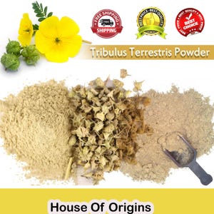 May include: A close-up of a pile of light brown Tribulus Terrestris powder, with a scoop and dried Tribulus Terrestris plants. The text "Tribulus Terrestris Powder" and "House of Origins" is visible.