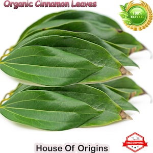 May include: A close-up of a pile of organic cinnamon leaves. The leaves are a deep green color and have a slightly brown tint. The leaves are arranged in a pile, with the tips of the leaves pointing upwards. The text "Organic Cinnamon Leaves" is at the top of the image. The text "House Of Origins" is at the bottom of the image.