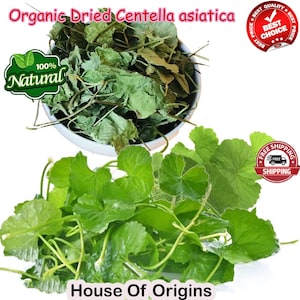 Organic Gotu Kola Tea: Bulk Dried Centella Asiatica Leaf