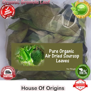 Organic Dried Soursop Leaves: 2 Kilogram Bulk, Freshly Air Dried