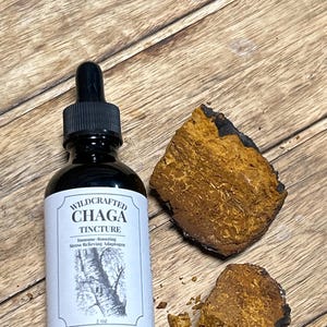 Tintura de Chaga Wildcrafted - Dupla Extração
