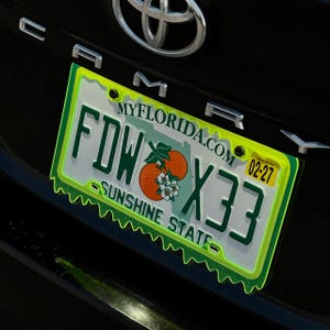 May include: A Florida license plate with the text "FDW X33" in green lettering, featuring an orange and flower graphic. The plate is framed in neon green and reads "SUNSHINE STATE" and "MYFLORIDA.COM".