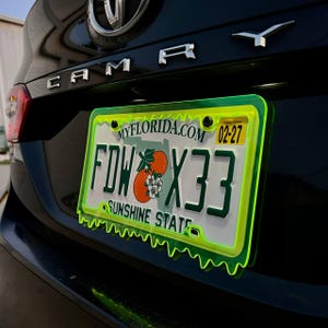 May include: A Florida license plate with the text "FDW X33" and a graphic of oranges and a flower. The plate is framed in neon green and mounted on a black car. The text "MYFLORIDA.COM" and "SUNSHINE STATE" are also visible.