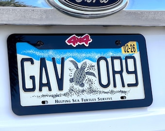 4X4 Emblem License Plate Frame (single plate)