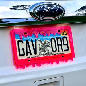 May include: A pink license plate with the text "GAV.ORG" and the words "Helping Sea Turtles Survive" in white. The plate has a dripping effect and a small sea turtle image in the center.
