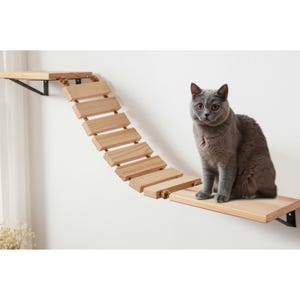 Cat Paw Steps, Cat Feeding Shelf, Cat Wall Furniture, Wall Shelves for Cat, Cat Wall Shelves, Wooden Cat Shelves, Cat Steps, Cat Playground
