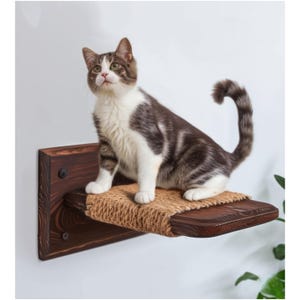 Cat Wall Shelves, Cat Wall Furniture, Wall Shelves for Cat, Wooden Cat Shelves, Cat Steps, Cat Playground, Cat Paw Steps, Cat Feeding Shelf