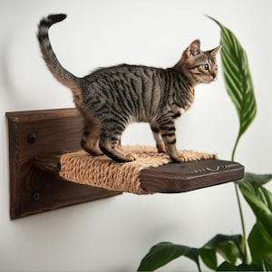 Cat Wall Furniture, Cat Wall Shelves, Wall Shelves for Cat, Wooden Cat Shelves, Cat Steps, Cat Playground, Cat Paw Steps, Cat Feeding Shelf