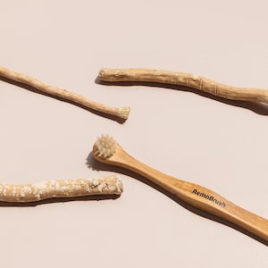 Organic Miswak Stick — Sunnah Toothbrush from the Arak Tree | Natural, Halal, Plastic-Free Oral Care | 1 Vacuum-Sealed Stick image 4