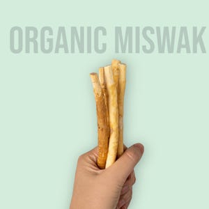 Organic Miswak Stick — Sunnah Toothbrush from the Arak Tree | Natural, Halal, Plastic-Free Oral Care | 1 Vacuum-Sealed Stick image 2