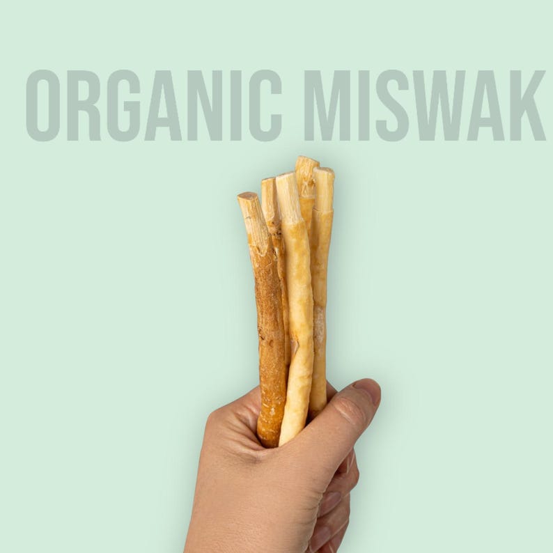 Organic Miswak Stick — Sunnah Toothbrush from the Arak Tree | Natural, Halal, Plastic-Free Oral Care | 1 Vacuum-Sealed Stick image 2