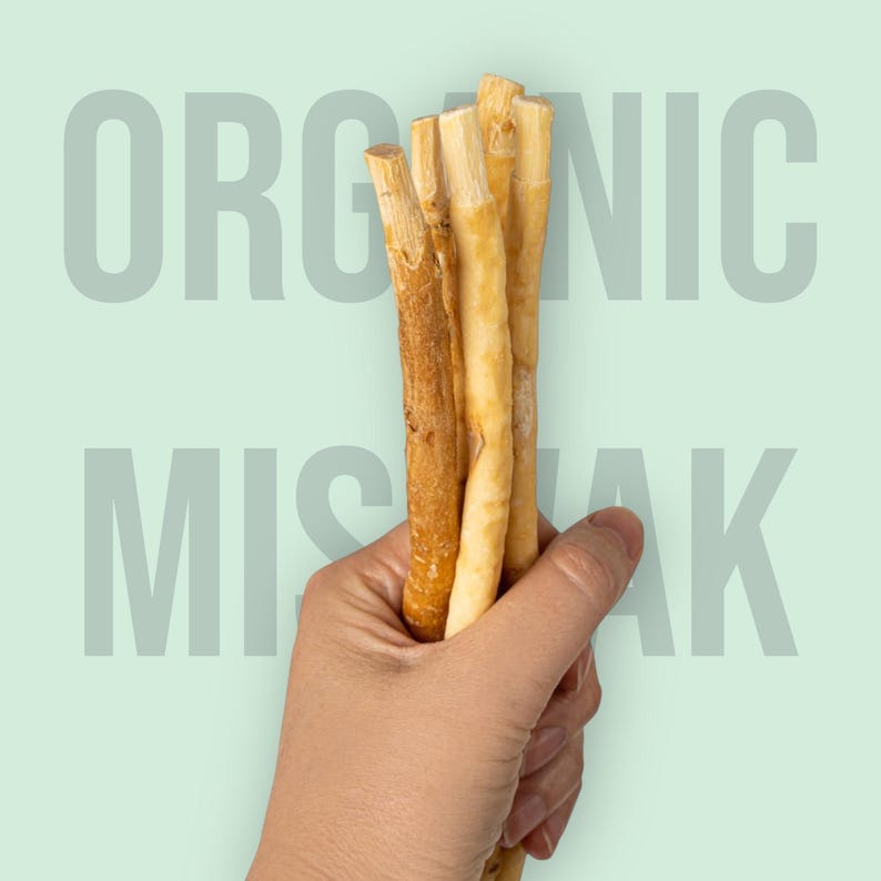 Organic Miswak Stick — Sunnah Toothbrush from the Arak Tree | Natural, Halal, Plastic-Free Oral Care | 1 Vacuum-Sealed Stick image 1