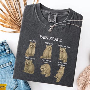 May include: Dark gray t-shirt with a "PAIN SCALE" graphic featuring raccoon illustrations depicting levels of pain. The shirt includes the text "No pain," "Mild pain," "Moderate pain," "Severe pain," "Very severe pain," and "Worst pain possible."