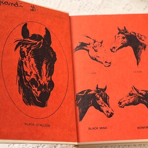 Peut inclure: Un livre ouvert avec des pages orange pr&eacute;sentant des illustrations de chevaux noirs. La page de gauche montre une t&ecirc;te de cheval dans un ovale avec "Black Stallion" en dessous. La page de droite affiche quatre profils de t&ecirc;tes de chevaux avec les noms : "Flame", "Satan", "Black Minx" et "Bonfire".
