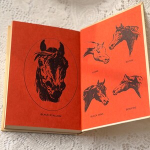 vintage Le livre de l'étalon noir | Histoire de cheval classique de Walter Farley | Décoration Cottagecore | Cadeau équestre | Livre Esthétique Neutre image 5