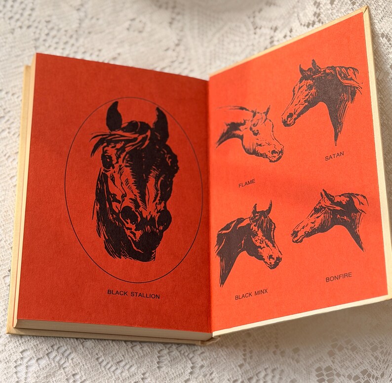 vintage Le livre de l'étalon noir | Histoire de cheval classique de Walter Farley | Décoration Cottagecore | Cadeau équestre | Livre Esthétique Neutre image 5