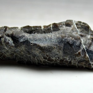 35 CT Rare Old Dinosaur Strips Agate Fossil For Collectors -  Raw Beautiful Natural Agate Fossil Specimen