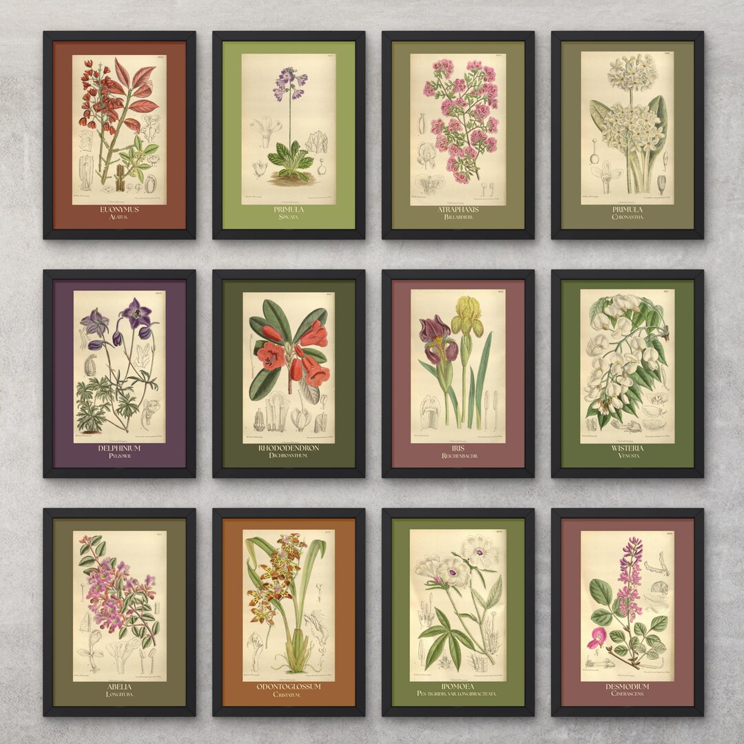 Vintage Botanical Print Set | 22 Printable Wall Art Prints | Floral ...