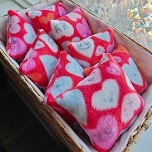 Fleece Quadrat Katzenminze Spielzeug (Medium)