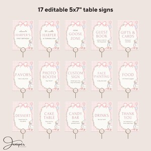 Editable Silly Goose Birthday Bundle, Gingham Party Templates, Pink First Party Decoration, Custom Birthday Signs, Custom Birthday Decor