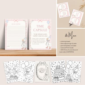 Editable Silly Goose Birthday Bundle, Gingham Party Templates, Pink First Party Decoration, Custom Birthday Signs, Custom Birthday Decor