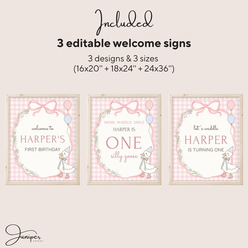 Editable Silly Goose Birthday Bundle, Gingham Party Templates, Pink First Party Decoration, Custom Birthday Signs, Custom Birthday Decor