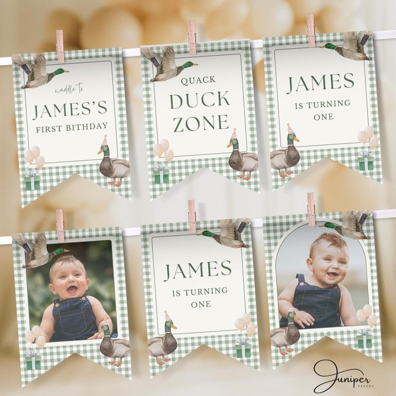 Editable Green Duck Birthday Banner, Green Gingham Mallard Party ...
