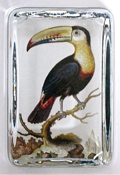 Toucan vase - Etsy 日本