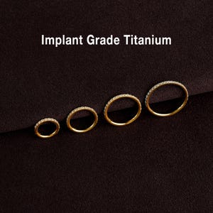 16G/18G/20g CZ Titanium Hinge Hoop, Hinged Segment Nose Ring, Tragus Clicker Ring, Hoop Earring, Cartilage hoops, Helix Gold hoop, Nose Hoop