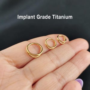Titanium Double Nose Ring, Hinged Segment Nose Ring, Clicker Hoops, Gold Nostril hoop, Septum hoop, Nose Hoop, Gold Septum Ring 16G/18G/20g