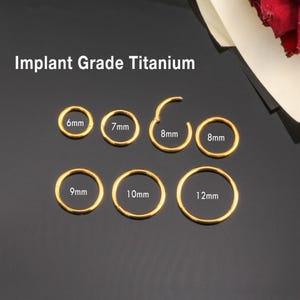 16G/18G/20G Implant Grade Titanium Hinged Hoop, Segment Nose Ring Septum Clicker Ring Daith Hoop, Seamless Clicker, Hoop Earring (6-12mm)