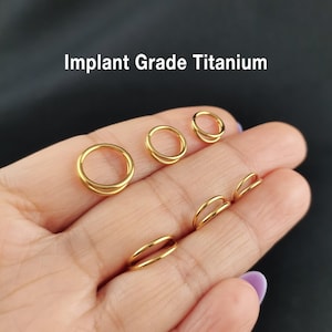 16G/18G/20g Titanium Double Hinge Hoop, Hinged Segment Nose Ring, Tragus Clicker Ring, Hoop Earring, Cartilage hoops, Helix hoop, Nose Hoop