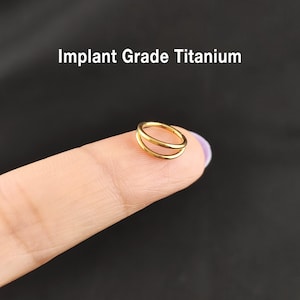 Gold Double Nose Ring, Titanium Hinged Segment Nose Ring, Clicker Hoops, Hoop Earrings, Cartilage hoops, Tragus Ring, Nose Hoop 16G/18G/20g