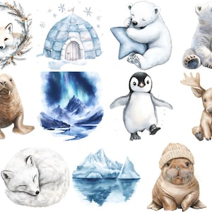 Pacchetto di clipart di animali artici (23 PNG), acquerello, orso polare, pinguino, volpe, tricheco, alce, igloo, aurora, sfondo trasparente