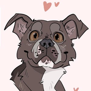 Custom Cartoon Pet Portraits From Photo, Cat Portrait, Dog Portrait, Personalized Gift, Digital Painting